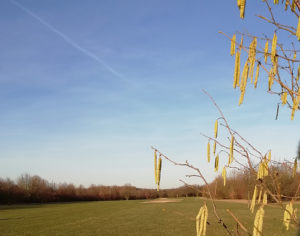 Blick über das Fairway von Loch 17 in Roggendorf